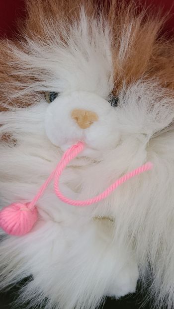 peluche chat angora et sa pelote de laine