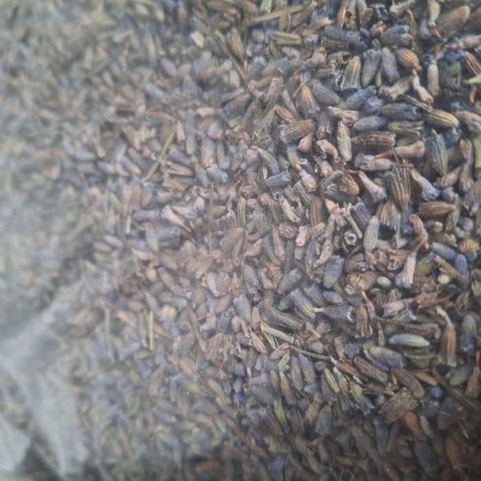 Sachet de 100 g de lavande séchée naturelle pour décoration ou DIY - photo numéro 3