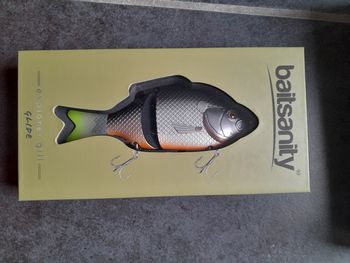 Baitsanity Explorer gill - glide 15cm 70 gr leurre