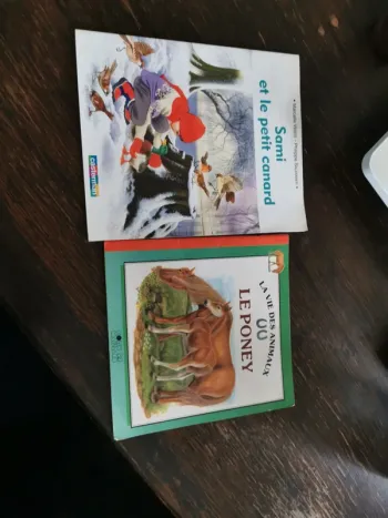 Lot de 2 livres le poney et sami et le petit canard