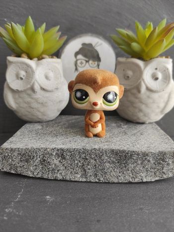 Littlest Petshop LPS Pet Shop Suricate Meerkat 819 #geektradelpssuricate