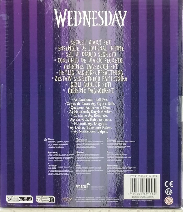 Famille Addams mercredi journal intime - photo numéro 3