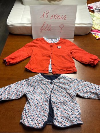 Lot de 2 gilets réversibles