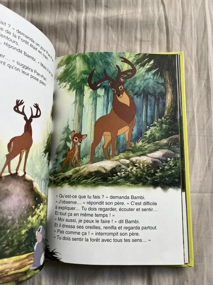 Bambi 2 - photo numéro 7