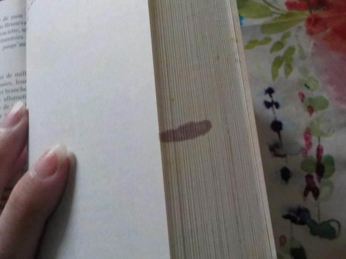 3 Michel Bussi Maman a tort Ne lâche pas ma main Un avion sans elle Ed. Pocket - photo numéro 8