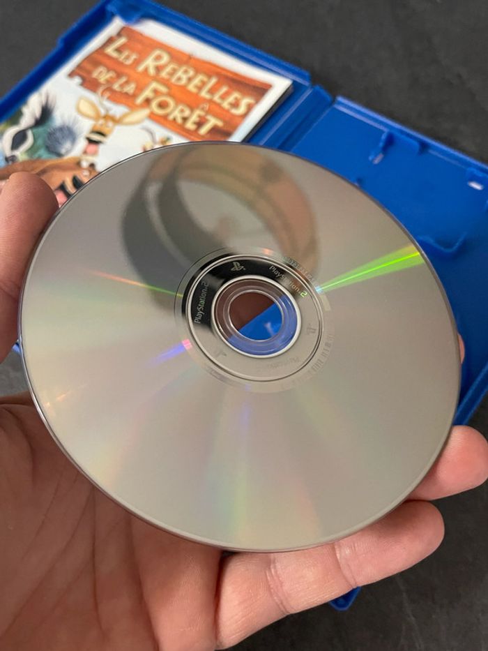 Jeux vidéos PS2 Les Rebelles de la Forêt - photo numéro 4