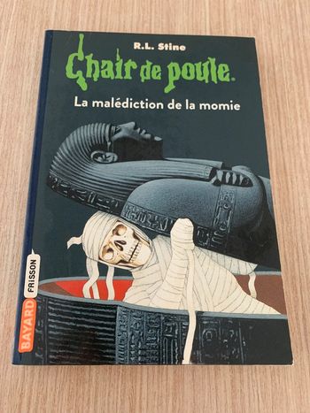 Livre chair de poule rl stine