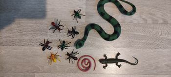 Lot 10 reptiles et insectes