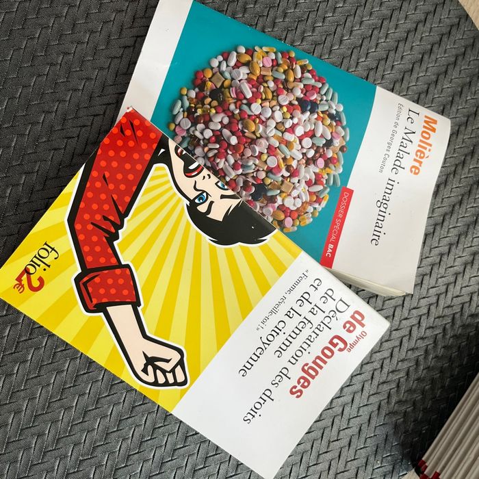 Livre pour bac de français