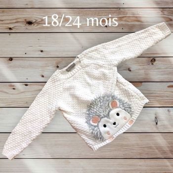 Joli pull herisson