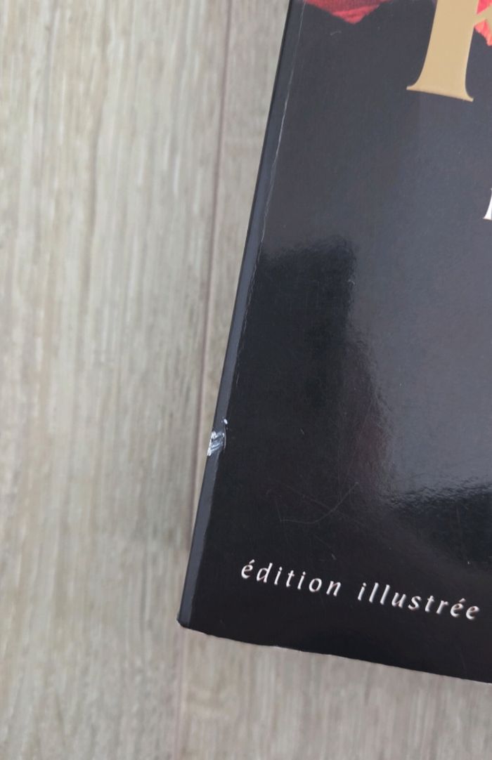 La tour sombre tome 4 : magie et cristal, stephen king - photo numéro 5