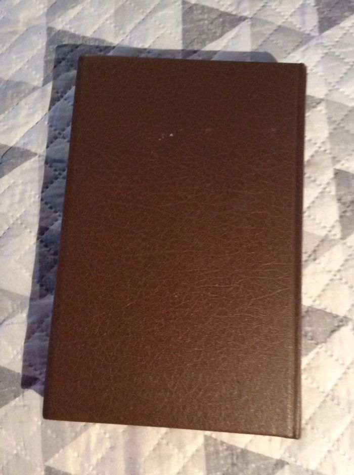 #papillon Henri Charrière - photo numéro 5