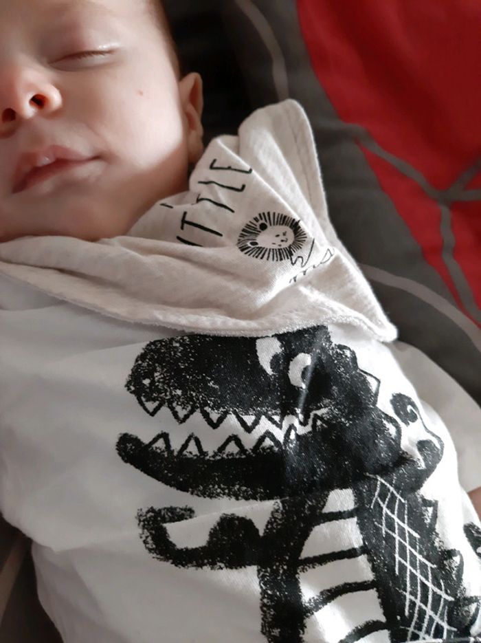 Tee-shirt 3M dinosaure Kiabi - photo numéro 2