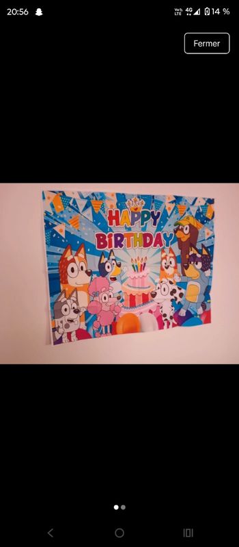 Affiche anniversaire bluey 