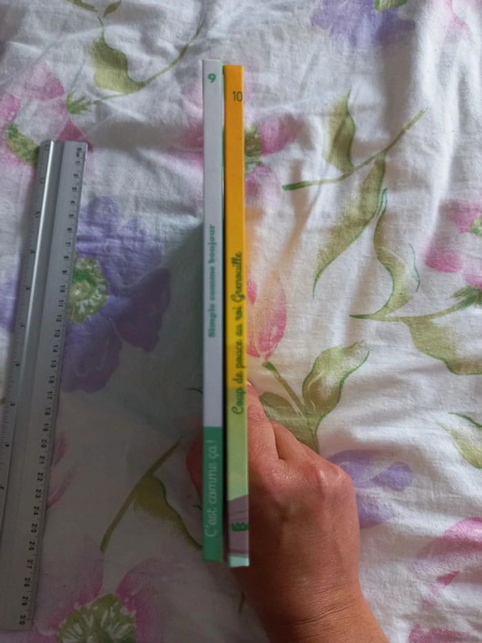 Lot de 2 livres coup de pouce au roi grenouille,simple comme bonjour - photo numéro 3
