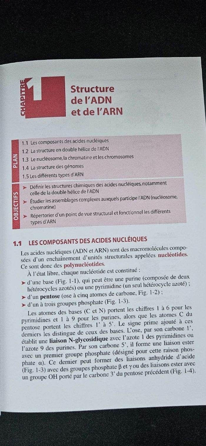 Manuel Biologie moléculaire - Cours + QCM + QROC - Licence/Prépa/Master - photo numéro 9