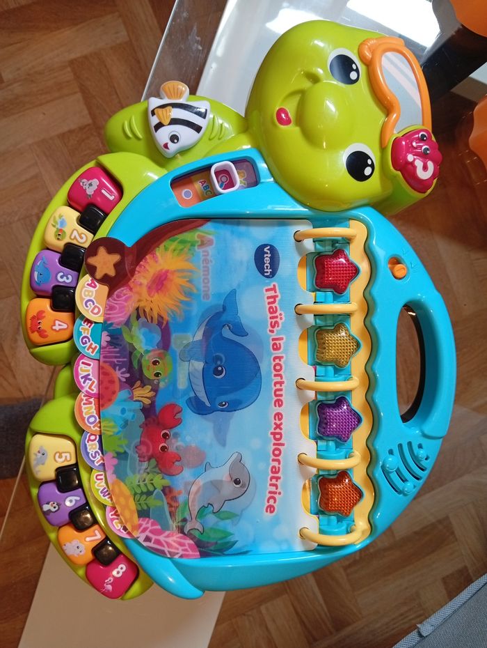 Tortue educative - photo numéro 3