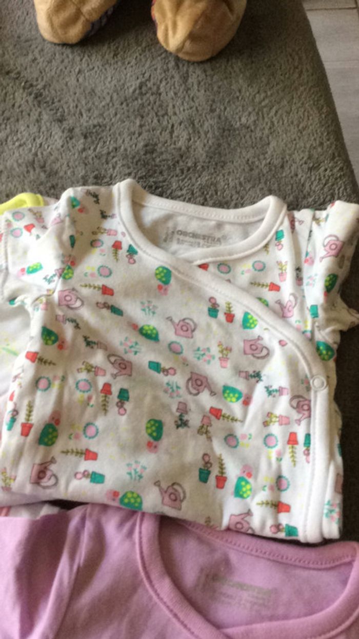 Lot 7 bodies - photo numéro 5