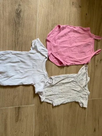 Bodies été