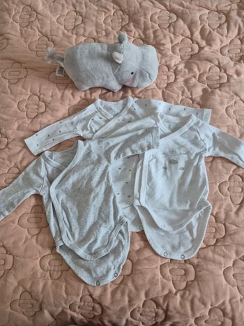 Lot bodies Tex