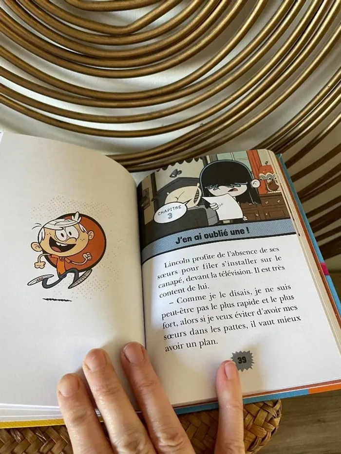 Livre bienvenue chez les Loud "des soeurs d'enfer" - photo numéro 3