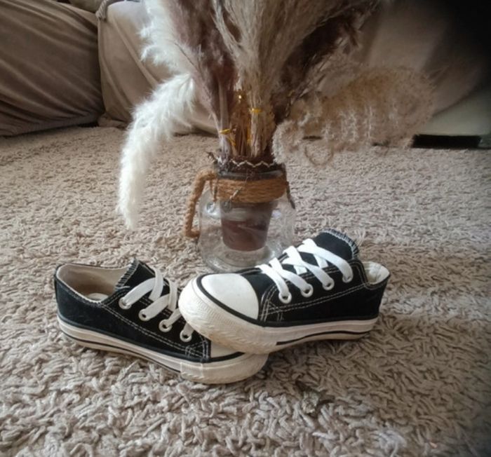 basket basse - photo numéro 1