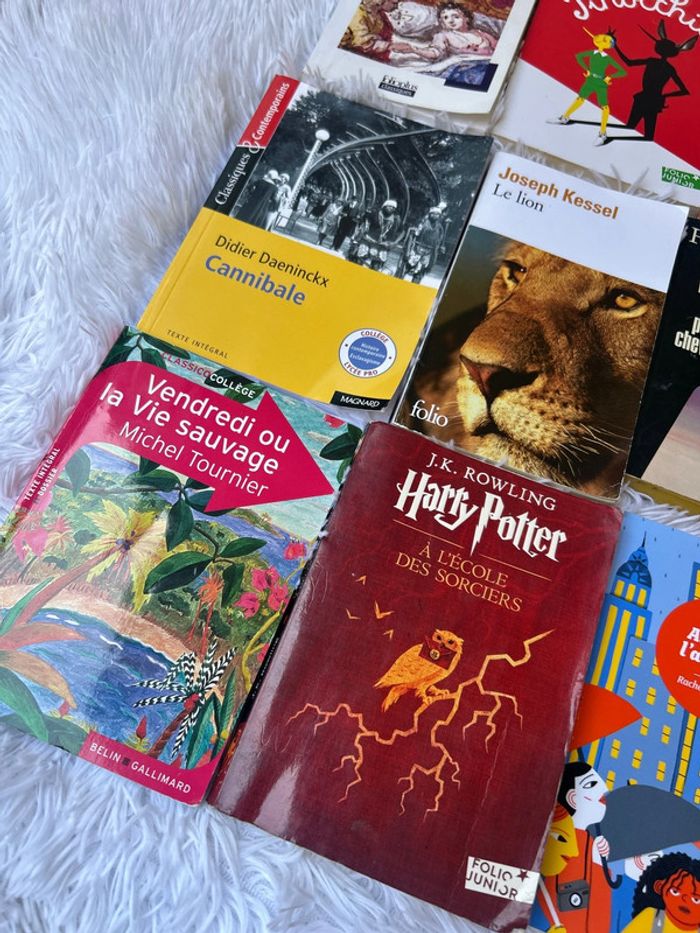 Lot de livres classique, collège et lycée - photo numéro 2