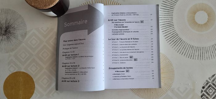 Lot-Gargantua de F.Rabelais &Juste la fin du monde de JL.Lagarce - photo numéro 5