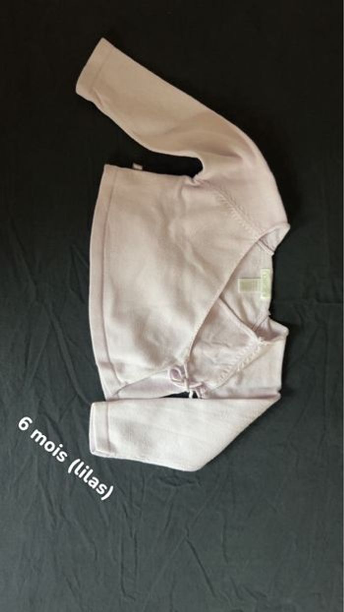 Vêtements 6 mois - photo numéro 8