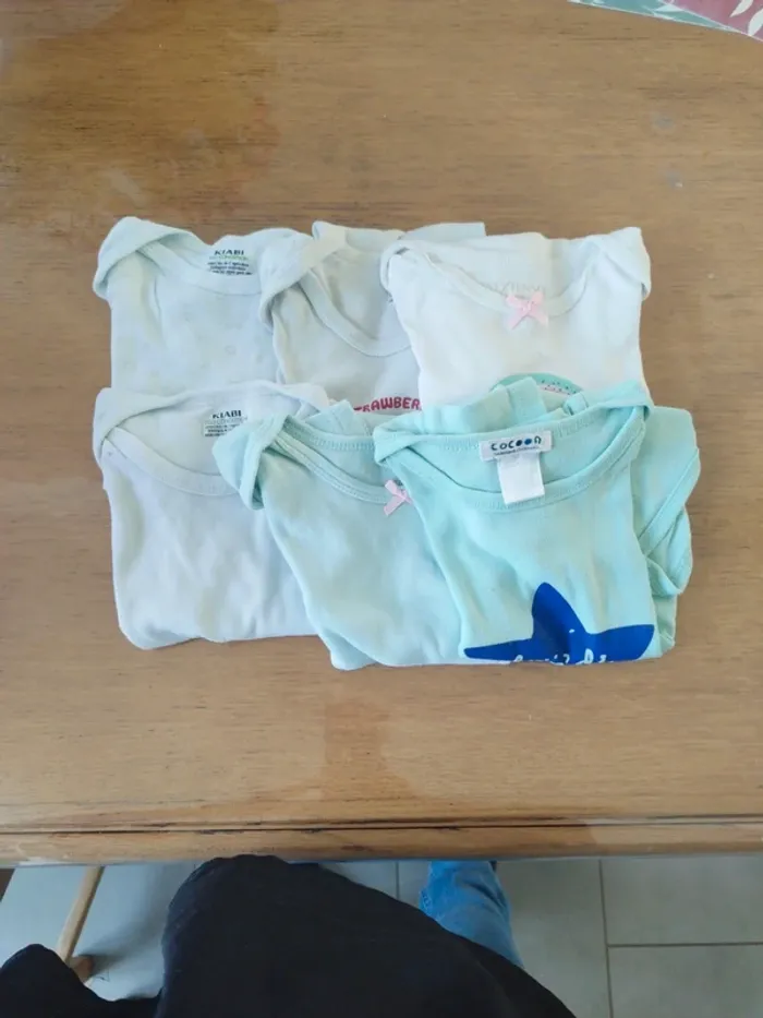 6 bodies manches courtes 24 mois