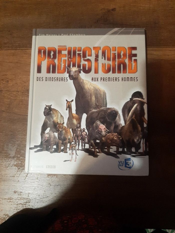 Grand livre Préhistoire des dinosaures aux premiers hommes