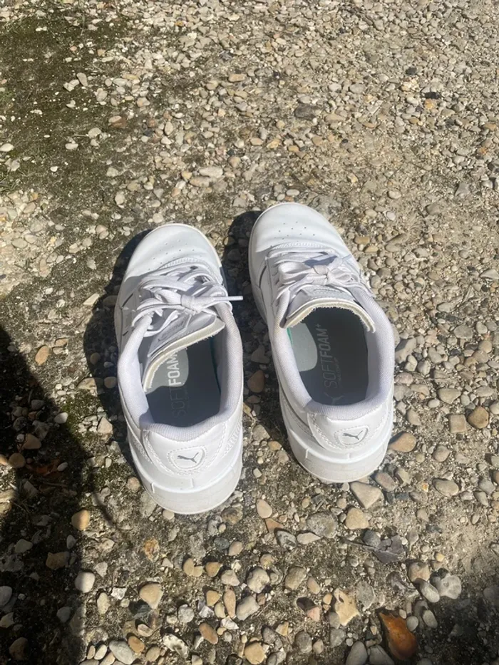 Puma blanches - photo numéro 5