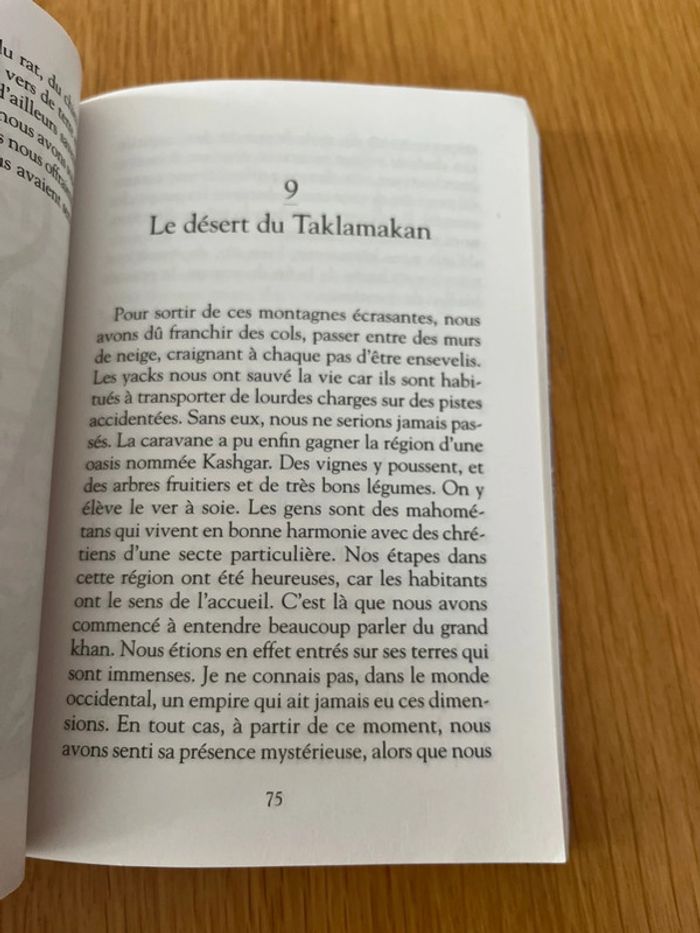 Le livre des merveilles de Marco Polo - photo numéro 3