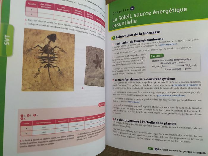 Livre TOut en Un 2nde - photo numéro 4