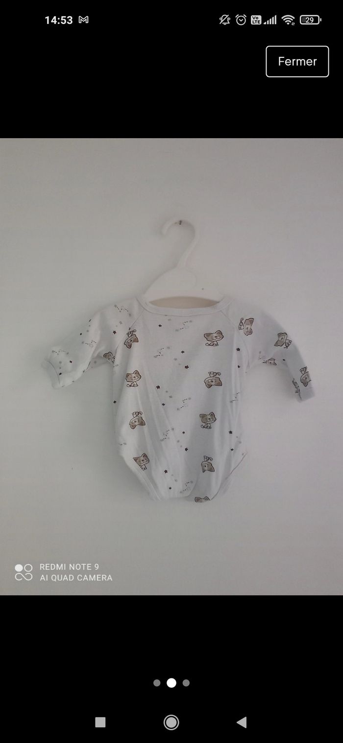 Bodie 1 mois - photo numéro 2