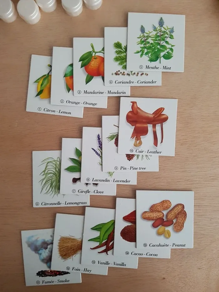 Livre odeurs + Nature & découvertes matériel Montessori Les boîtes à odeurs - photo numéro 8