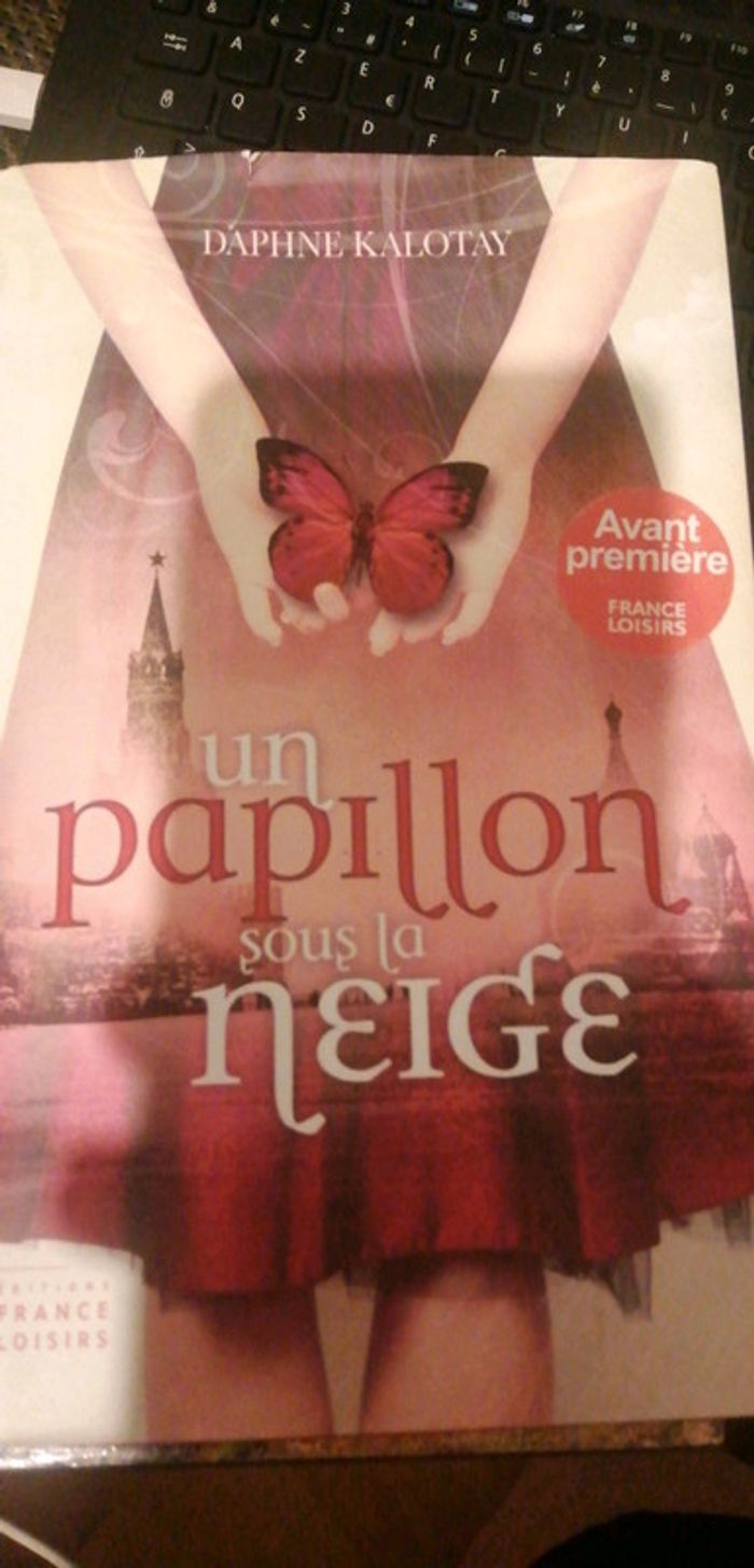Un papillon sous la neige