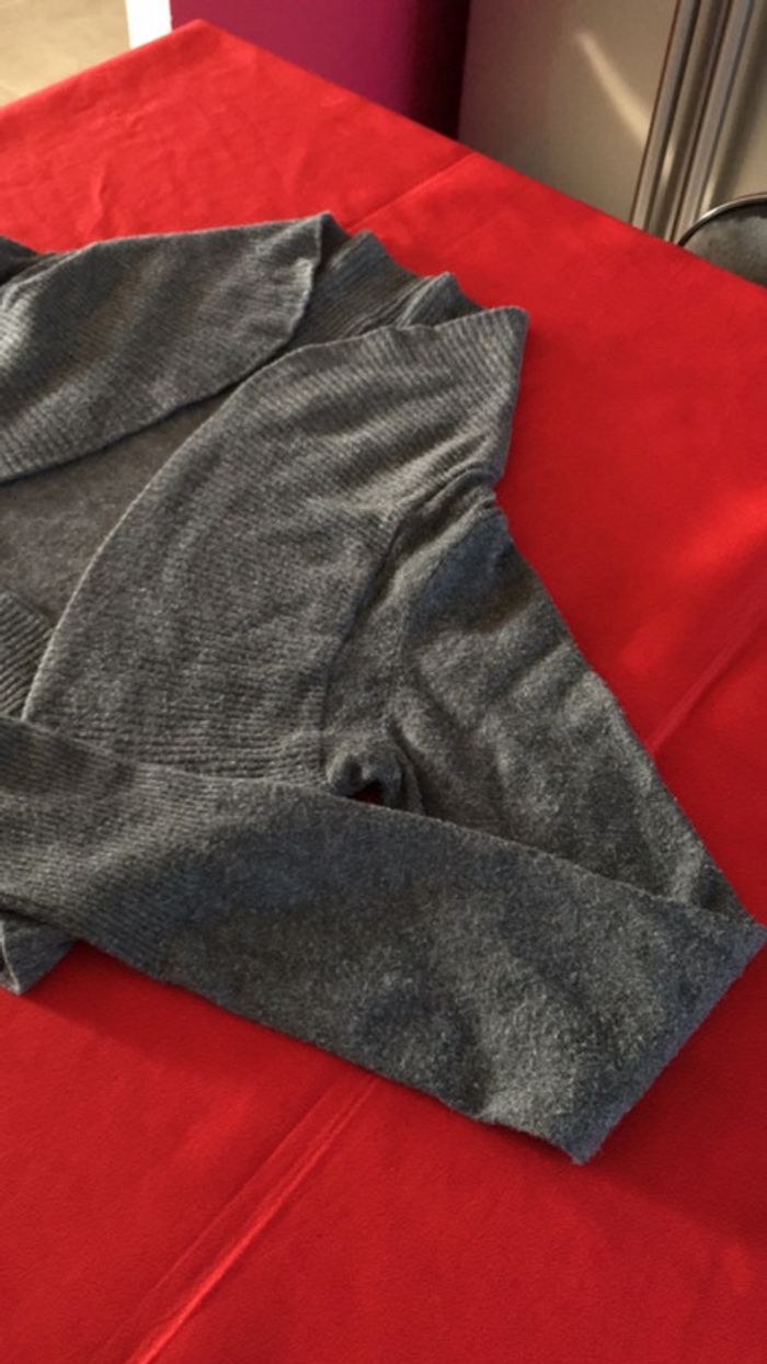 Gilet cour - photo numéro 3