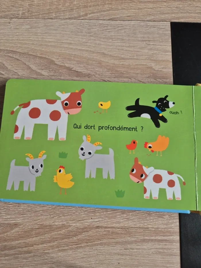 Livre bébé - photo numéro 4