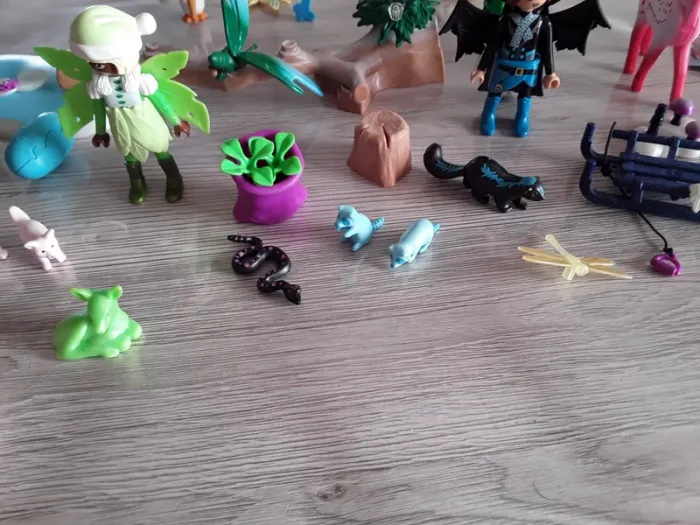 Playmobil Adventures offre Ayuma - photo numéro 5