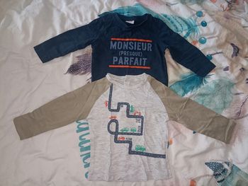 Lot 2 tee shirt 24 mois