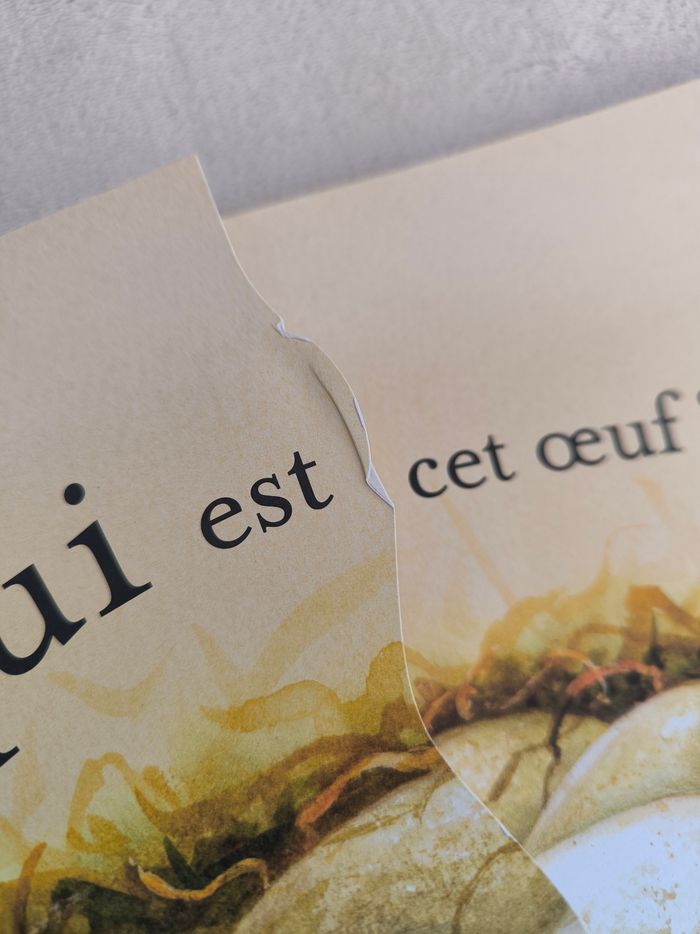 Livre À qui est cet œuf ? - photo numéro 7