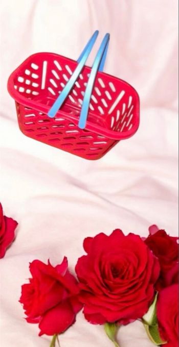 Panier