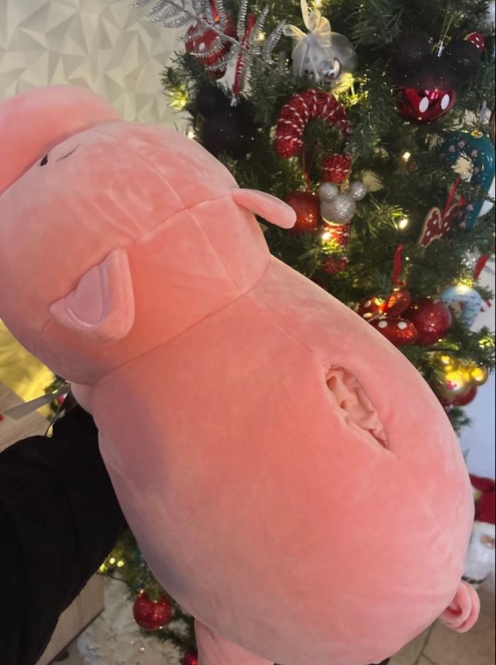 Peluche tirelire Bayonne - photo numéro 4