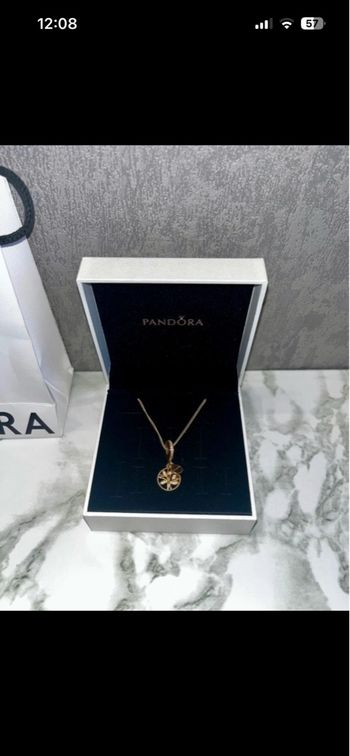 Collier charm