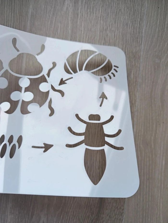 Pochoir du cycle de vie de la coccinelle - photo numéro 3