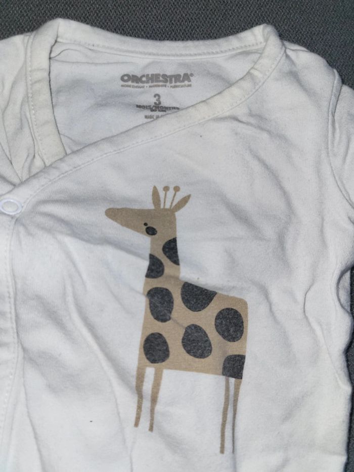 Lot bodies girafe - photo numéro 2