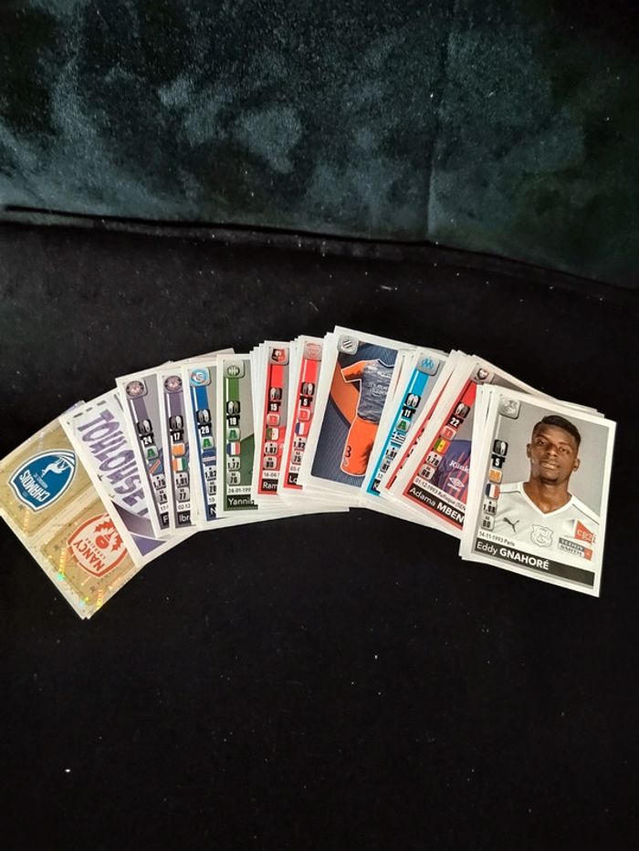 Panini foot 2018 2019