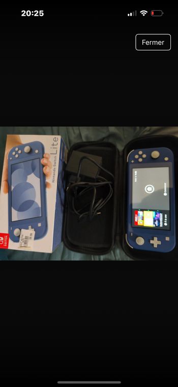 Nintendo switch lite