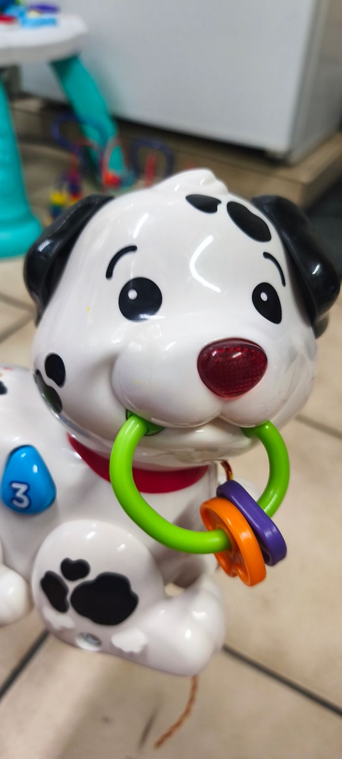 Chien a tirer - photo numéro 9